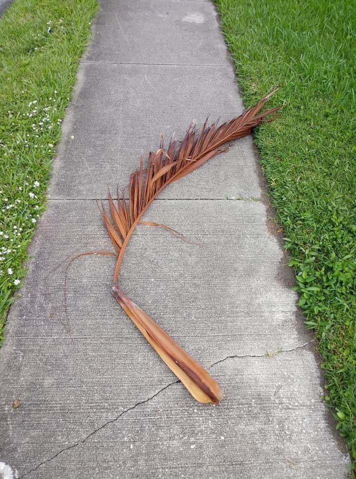 Fall in Florida. Breathtaking…