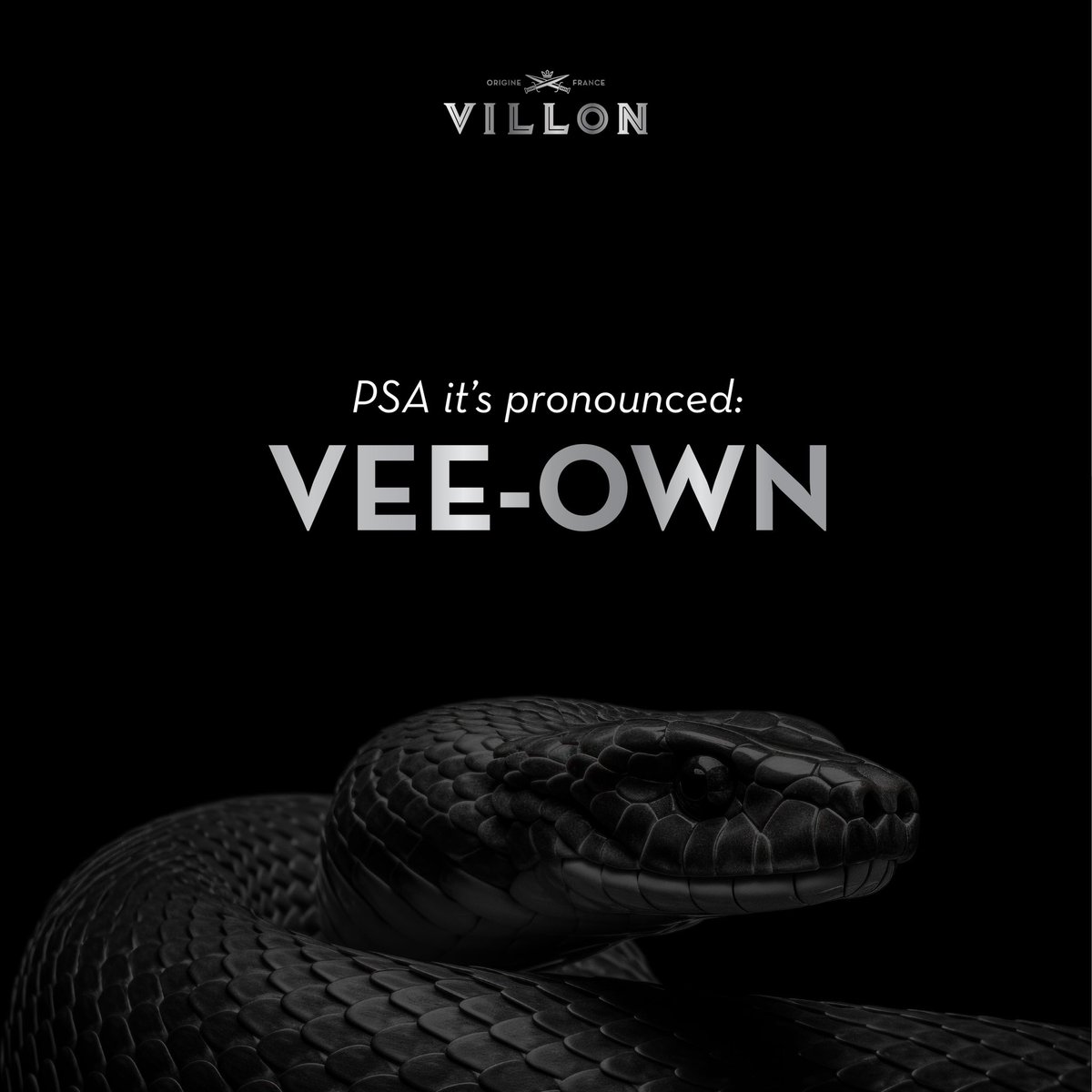 VillonFrance tweet media