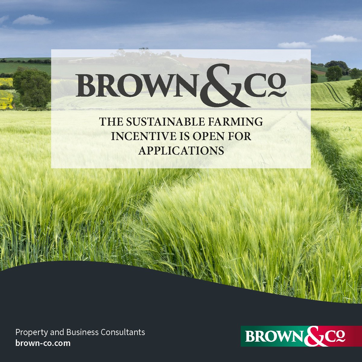 Brown&Co Rural tweet media
