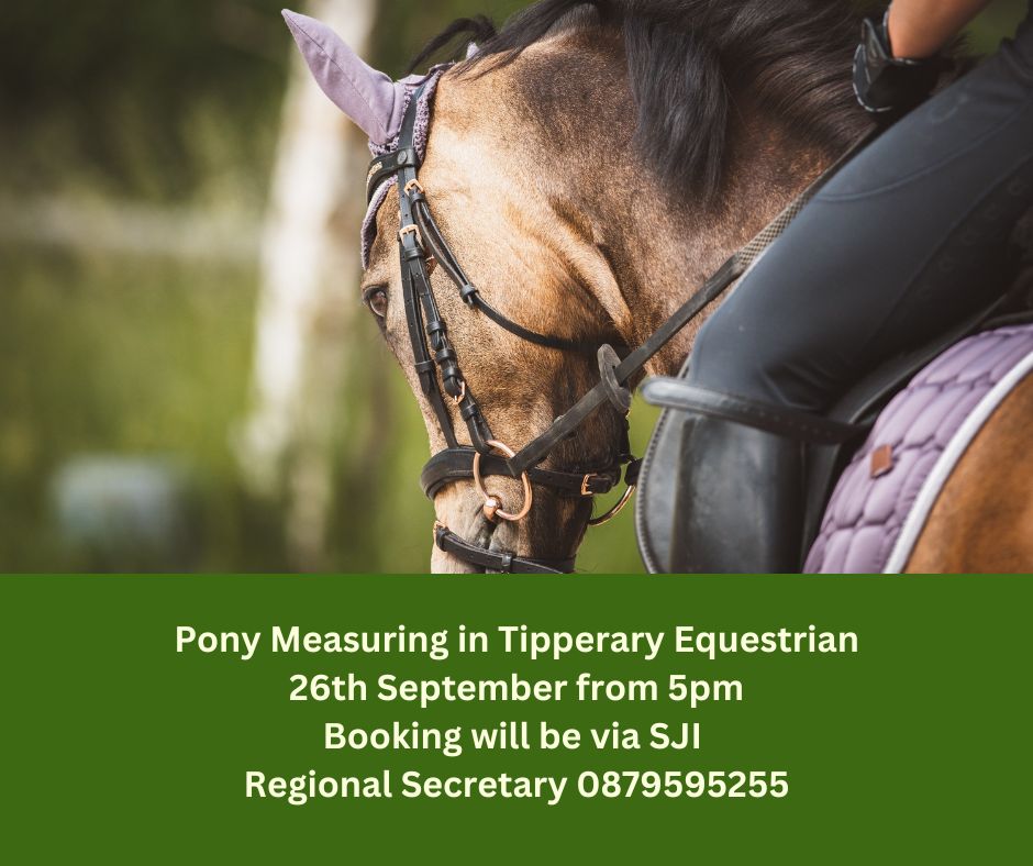Upcoming Pony Measuring in  Tipperary