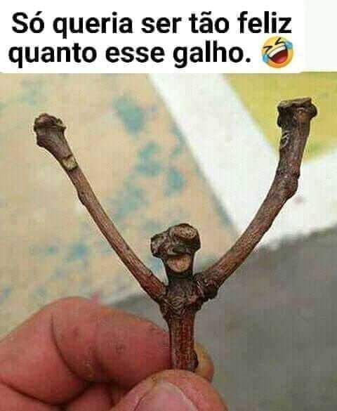 Feliz segunda feira 
Ótima semana a todos 🌻💥❤️‍🩹