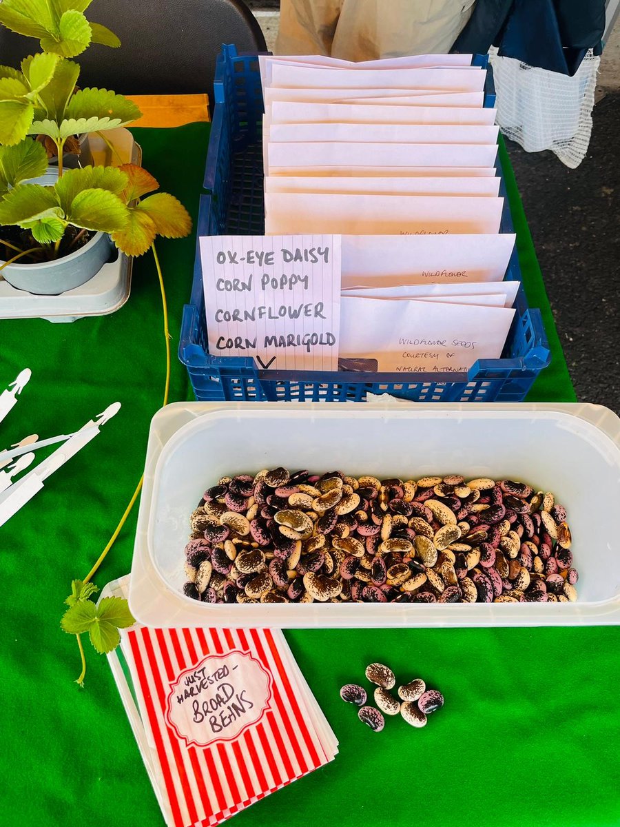 The @GreenSefton_Natural Alternatives team had a great time during the recent #Bootle Climate Action festival @salttarbootle explaining the work of the group for those with additional needs. The event was organised by @TakingRoot3 & @Regenerus @seftoncouncil