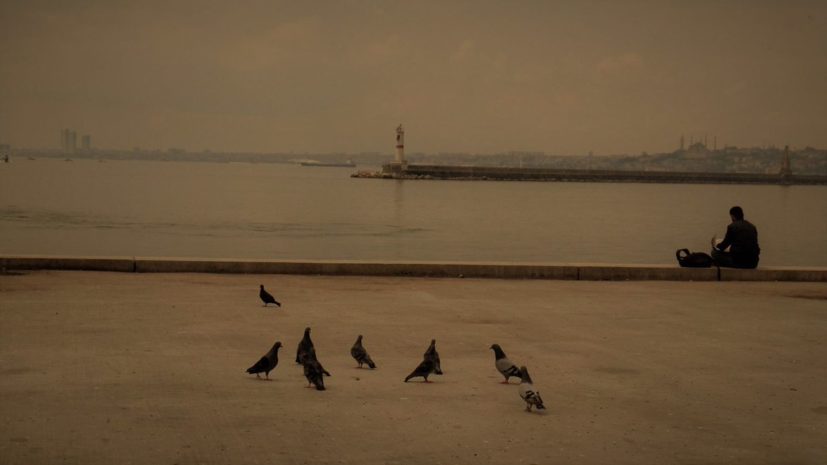“Bir bakışla fark edilen, her zaman orada duran ancak hiç bakılmamış olan, sonsuz bağlar, unutulmuşlar, hafızada taze olanlar…”

<a href="/bedizyilmaz1/">byb</a>’ın kaleme aldığı "Doğa Kent İnsan” çağrısı çalışmalarınızı bekliyor.

link bio’da!

📸Nevruz Seyidoğlu, Salgın