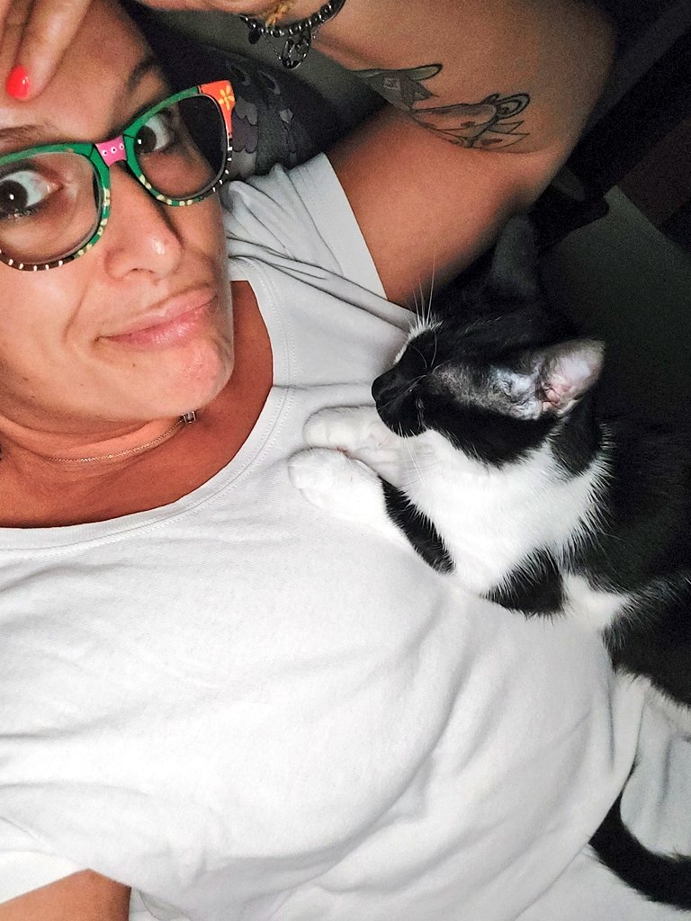 MagicaEmy77's tweet photo. #perAffrontare la stanchità
Fa che il tuo gatto
Ti tratti come
Poltrone e Sofà
E vedrai come tutto
Sparirà🥰🐱 https://t.co/w2PYDAk3qm