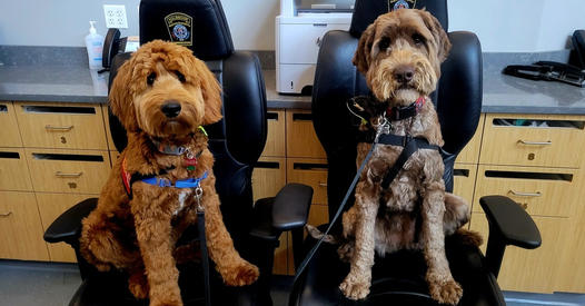 SSRECC 9-1-1 tweet media