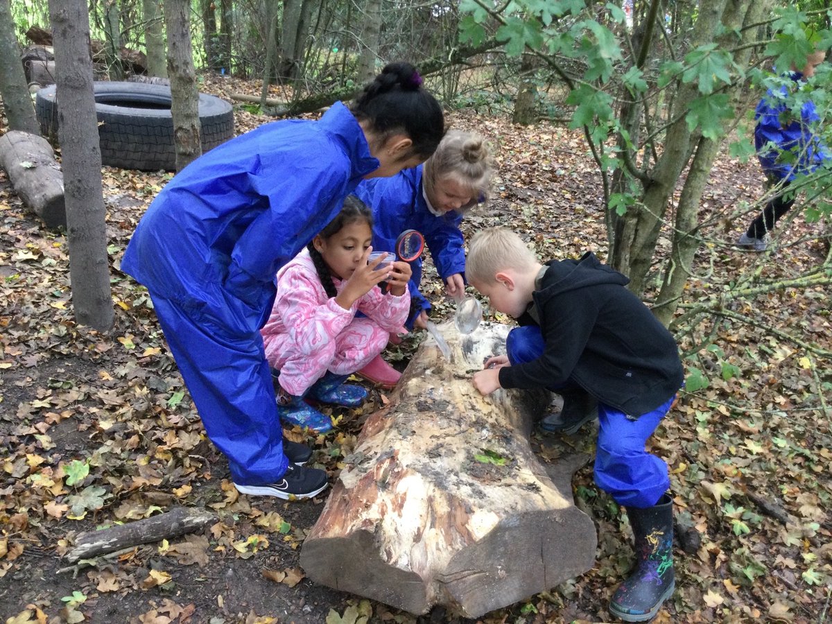 Miss_Shaw_FPA's tweet photo. A great time at Forest School this morning. @Mrs_AJones https://t.co/RWCWBgdJDk