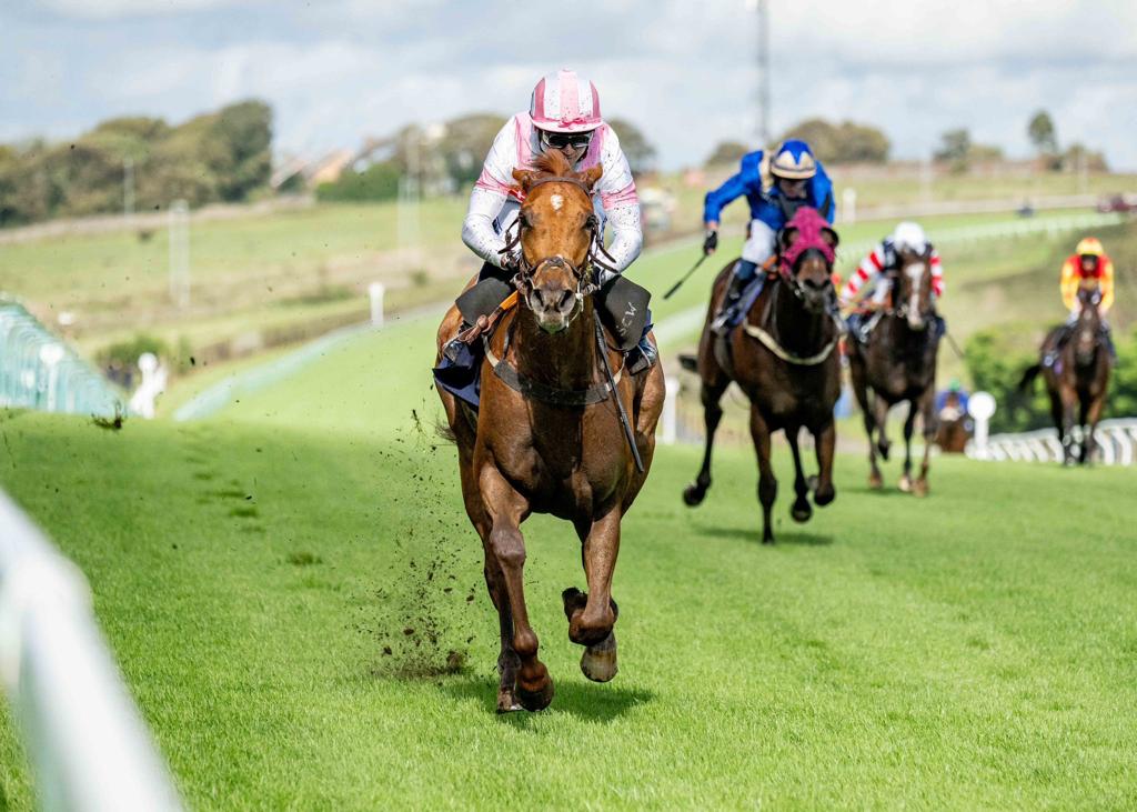 Stuart Williams tweet media