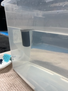 BedCoSchools's tweet image. #SCHS #HonorsPhysicalScience students learned about #density recently by trying to get a film canister or "submarine" to hover in water. After the #HandsOnActivity, they calculated the volume of a cylinder &amp;amp; density of the hovering submarine! #BedfordCountySchools
