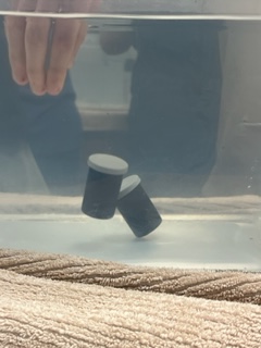BedCoSchools's tweet image. #SCHS #HonorsPhysicalScience students learned about #density recently by trying to get a film canister or "submarine" to hover in water. After the #HandsOnActivity, they calculated the volume of a cylinder &amp;amp; density of the hovering submarine! #BedfordCountySchools