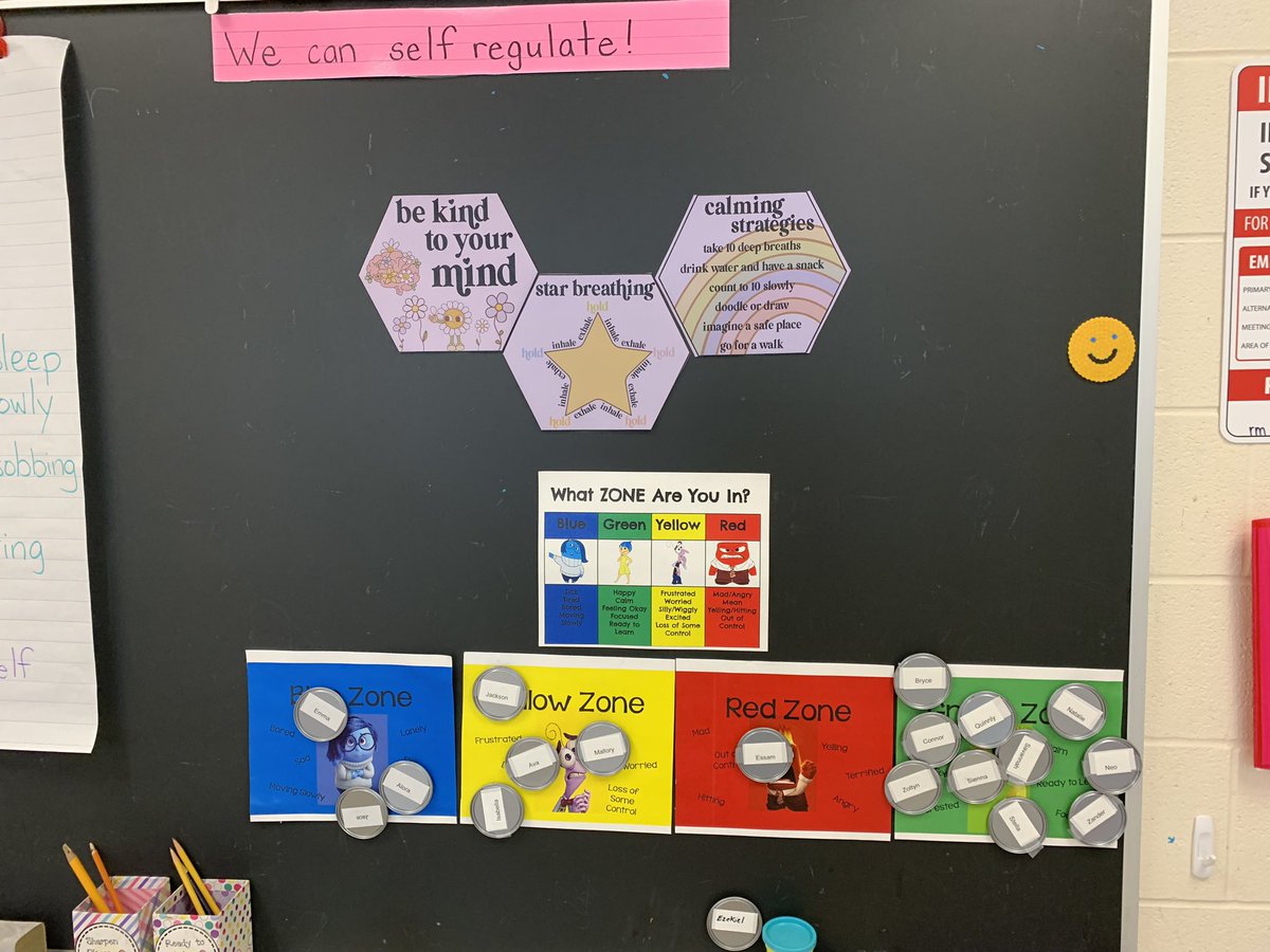 What self-regulation looks like in grade 1/2