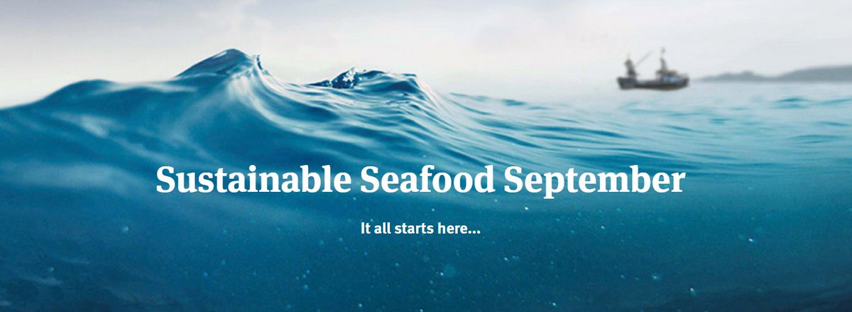 It's Sustainable Seafood September with the Marine Stewardship Council! 

MSC are leaders in sustainable seafood!🌊
Check out the website at: msc.org/uk/what-we-are… 

& learn about how YOUR choices are shaping the future of seafood
#GraniteCityGoodFood #GoodFoodMovement