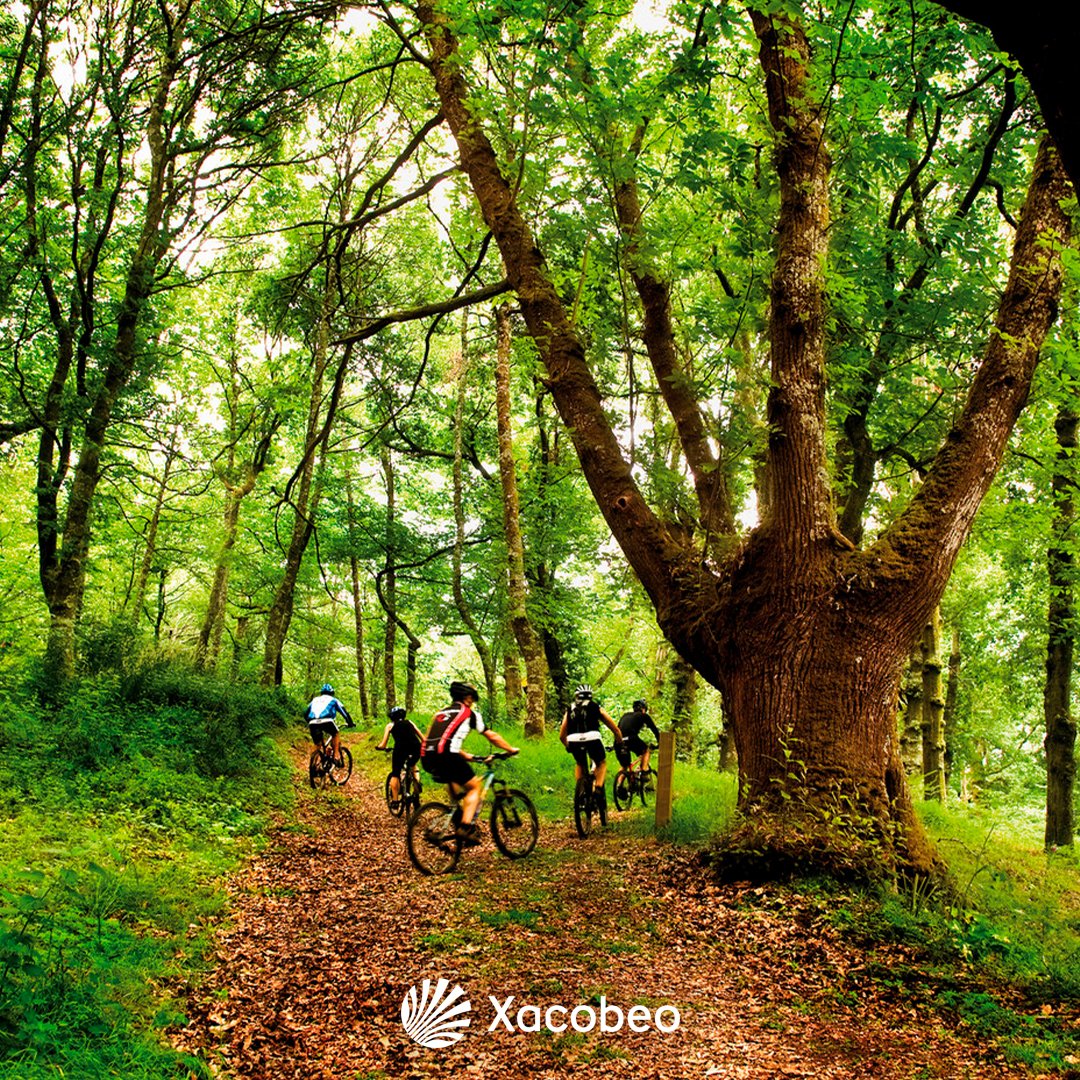 Un dos oito monumentos naturais de Galicia atópase en Lalín: a Fraga de Catasós. O lugar perfecto para tomar un descanso no teu camiño, en plena natureza.   

#Xacobeo #CaminoDeInvierno #Lalín