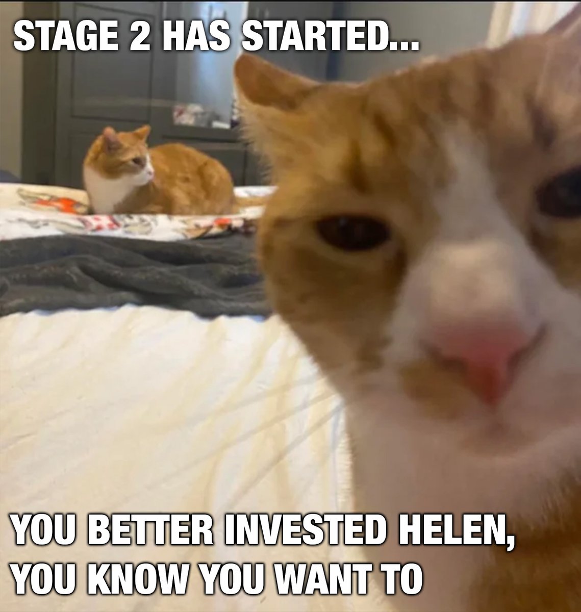 🚨Stage 2 has started!🚨 🙀ONLY 4 STAGES!!🙀 😻Get Cute MEOW: buy1.bigeyes.space #BigEyesInfinity #BigEyesCoin #MondayMotivation #memecoin #cryptomarket