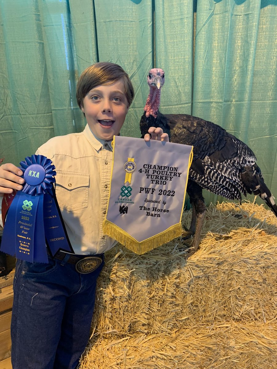 PWFKamloops's tweet photo. ✨#MEETTHEMEMBERMONDAY✨
🍀PWF EXHIBITOR SPOTLIGHT🍀Hi, My name is Grayson Moore. I joined Yale County 4-H as a Cloverbud in 2021. I did a lamb project my first year, Ranger &amp; showed him with two broken arms! This year is my first market beef project, George. https://t.co/PNi8vTMXnv