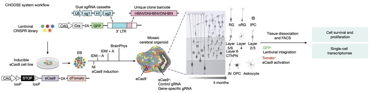 paper_a_day tweet media