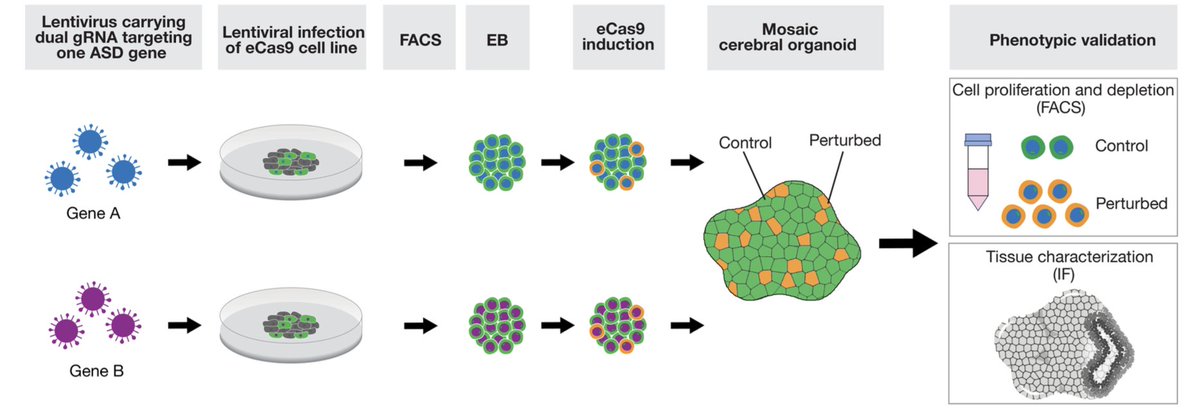 paper_a_day tweet media