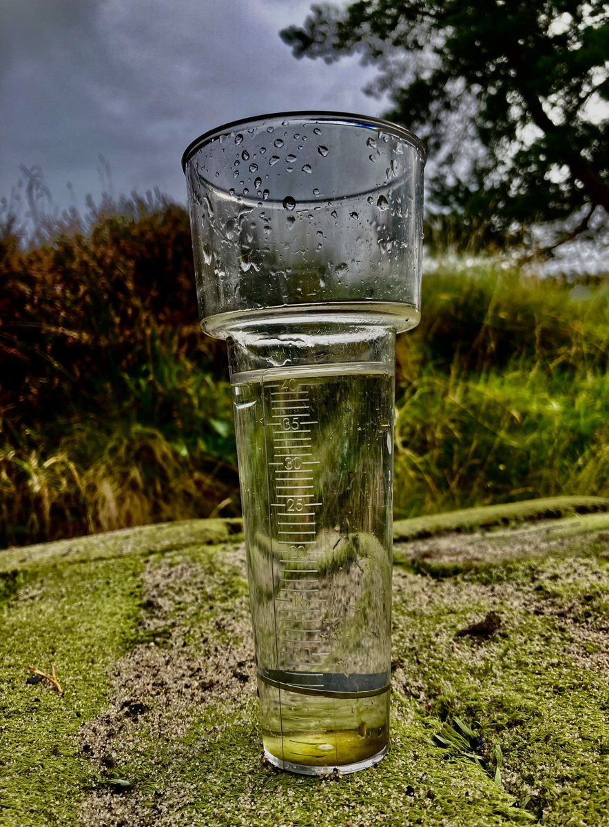 stufergusonmg's tweet photo. She Failed the Fitness Test Today. No Golf on Westy…We Go Again tomorrow #MoorChat https://t.co/6eJgYf5sfo