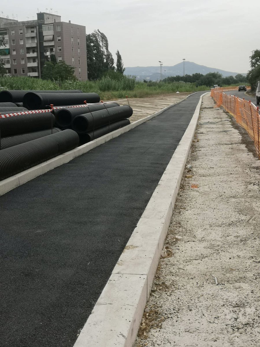 Sabrina Alfonsi tweet media