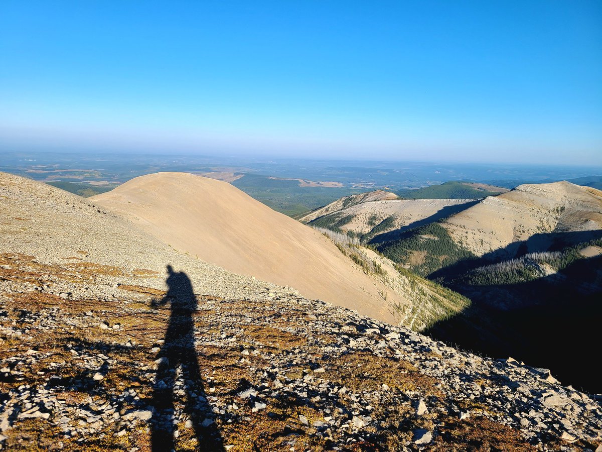 EmmMarchand's tweet photo. I'm so grateful I managed to squeeze in one last mountain run in pursuit of those elusive sheep! #RamMountain
#HappyPlace https://t.co/IKiVHLGU5u