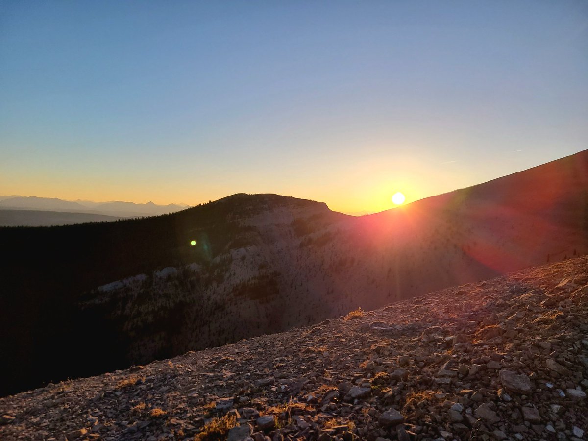 EmmMarchand's tweet photo. I'm so grateful I managed to squeeze in one last mountain run in pursuit of those elusive sheep! #RamMountain
#HappyPlace https://t.co/IKiVHLGU5u