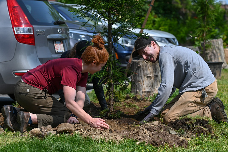 Calling nonprofits interested in expanding the City's tree canopy! The Boston Tree Alliance is hosting its first workshop to receive feedback from organizations who want to participate.

🗓️September 20th⏲️12-1:30 PM
📍Boston Nature Center- 500 Walk Hill Street, Mattapan, MA