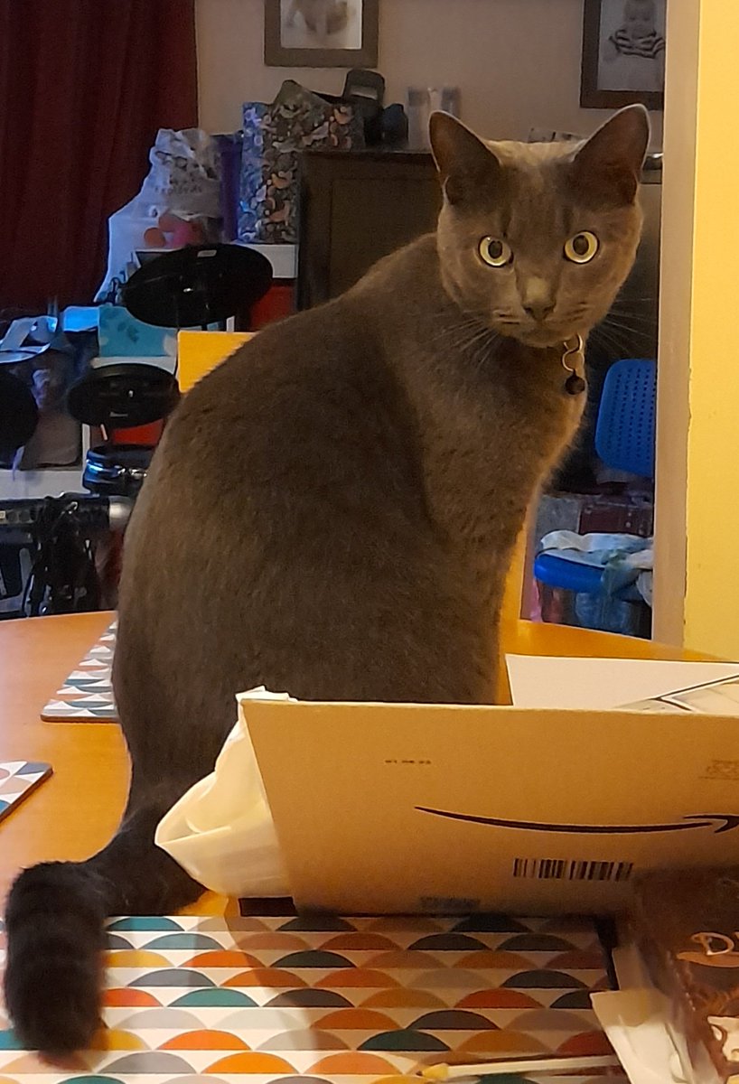 oonagh carson tweet media