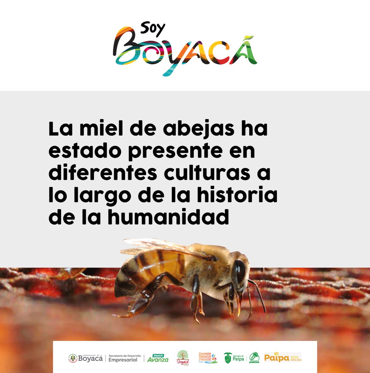 Soy Boyacá tweet media