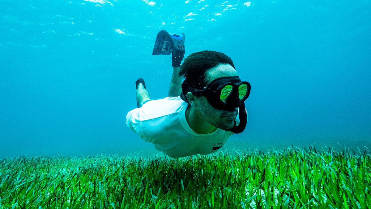If we want to beat climate change, we must do more to protect our threatened blue carbon ecosystems. 💙✊
Though we aren't at #ClimateWeek, BTW is on the frontlines using science to protect BCEs and making discoveries like the largest seagrass meadow on earth down in the Bahamas.