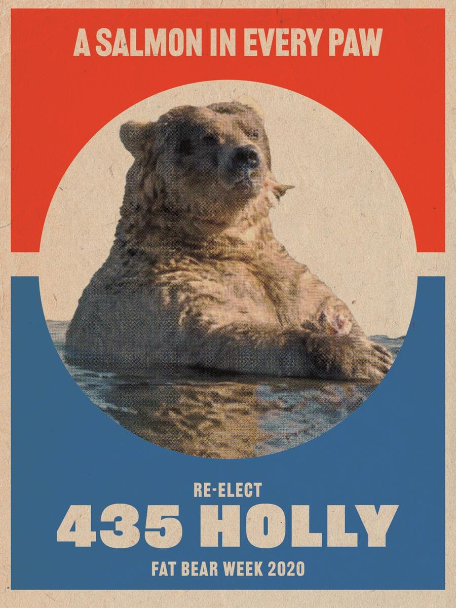 Time to VOTE for your favorite Fat Bear Week Campaign Poster. Live now at explore.org/contest