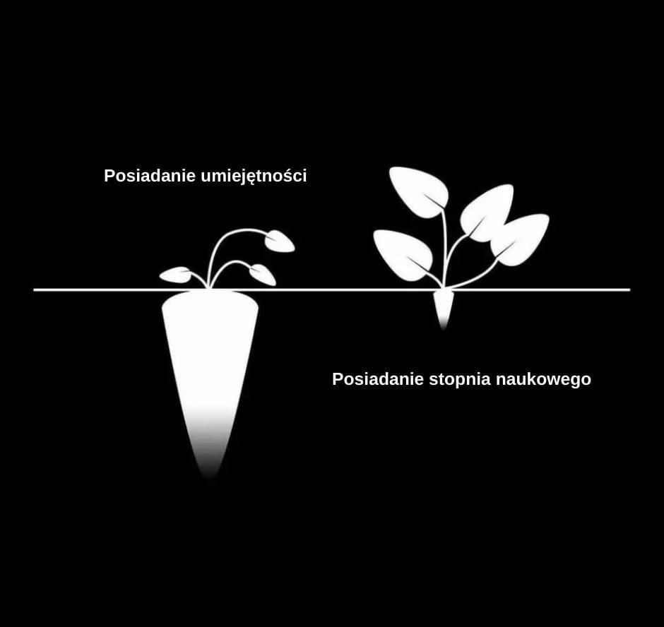 Dawid_Palka_'s tweet image. Co jest ważniejsze na rynku pracy według Was❓

#praca #zarabianie #wiedza #doświadczenie #przedsiębiorca #pracownik #rozmowarekrutacyjna #studia