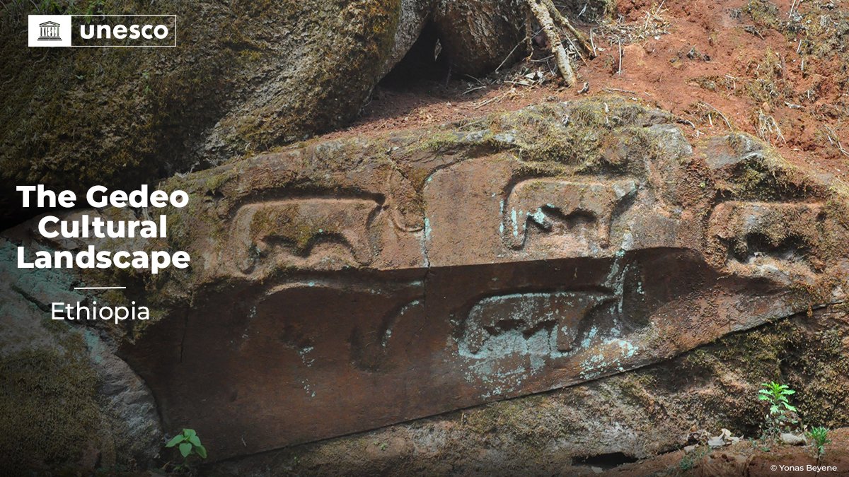 Wutsiye's tweet photo. Congratulations to Ethiopia 🇪🇹 on the inscription of very important settings as World Heritage Sites!

𝗕𝗮𝗹𝗲 𝗠𝗼𝘂𝗻𝘁𝗮𝗶𝗻𝘀 𝗡𝗮𝘁𝗶𝗼𝗻𝗮𝗹 𝗣𝗮𝗿𝗸 
𝗧𝗵𝗲 𝗚𝗲𝗱𝗲𝗼 𝗖𝘂𝗹𝘁𝘂𝗿𝗮𝗹 𝗟𝗮𝗻𝗱𝘀𝗰𝗮𝗽𝗲

#ethiopia #heritage #tourismsites #tourism #travel #UNESCO https://t.co/4L4ASCQwf0