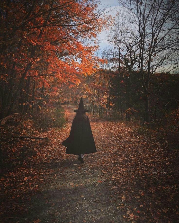 horrormansion's tweet photo. 45 days until Halloween https://t.co/XTp29dR91x