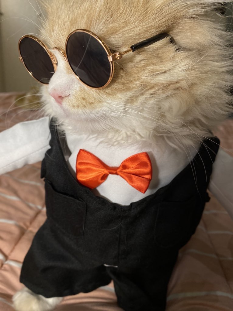 _IBU2's tweet image. يرحلون ويبقى أثرهم فعلا🥺🥲💔