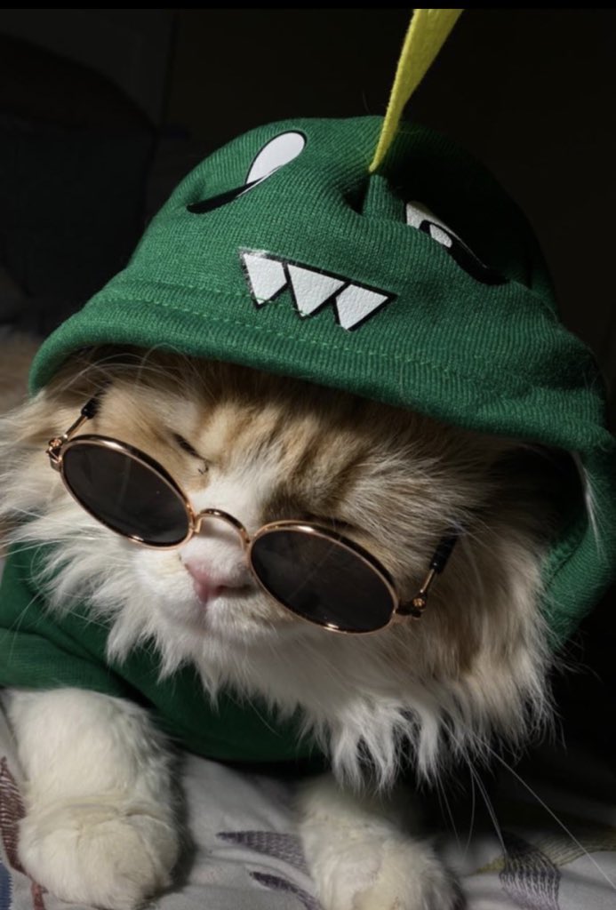 _IBU2's tweet image. يرحلون ويبقى أثرهم فعلا🥺🥲💔