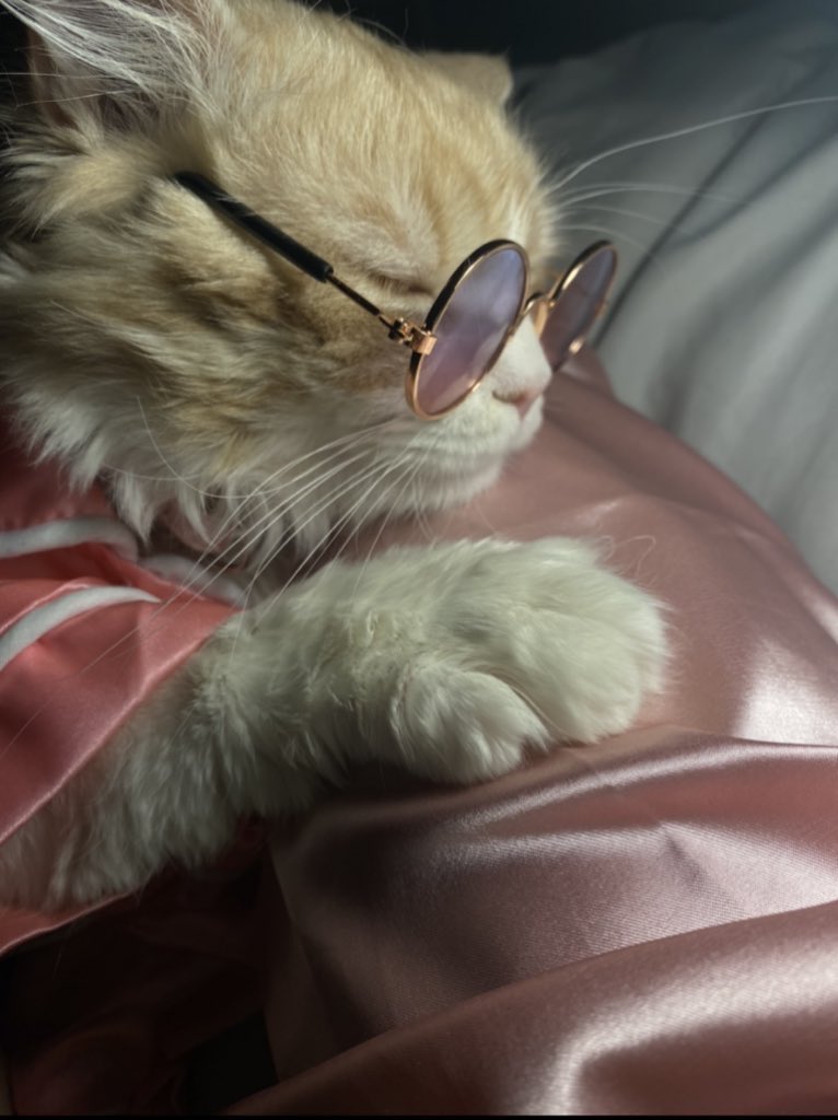 _IBU2's tweet image. يرحلون ويبقى أثرهم فعلا🥺🥲💔