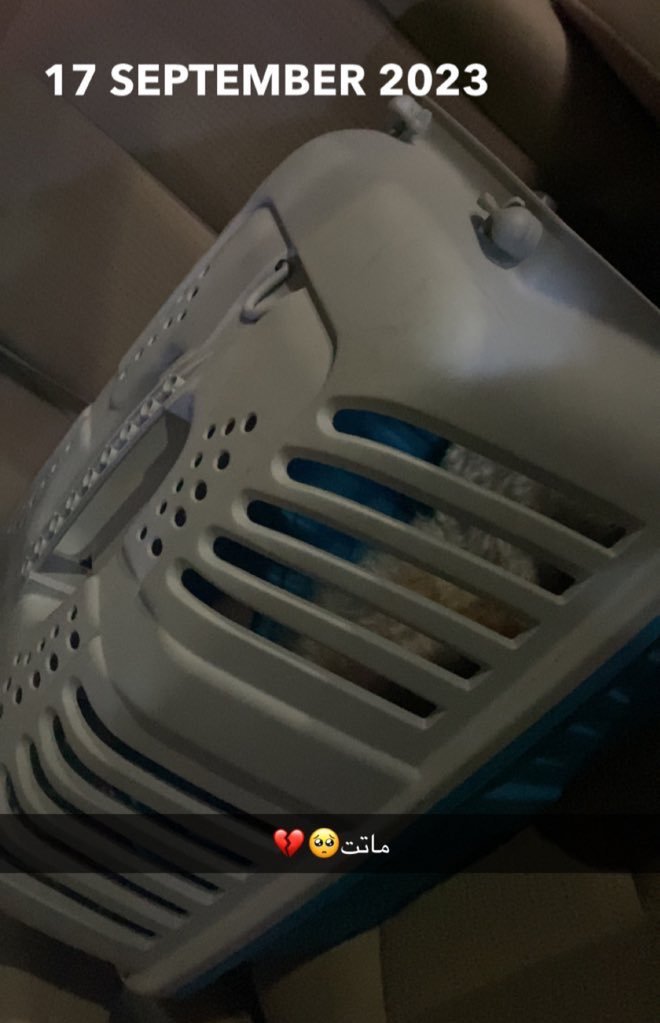 يرحلون ويبقى أثرهم فعلا🥺🥲💔