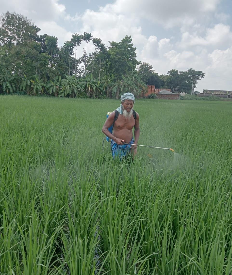 Demonstration of Nano DAP & Sagarika in Paddy field of Farmer - Imteyaz Ali & Nazmul Alam, Vill - Purba Arkhali, Amdanga, North 24 Parganas,