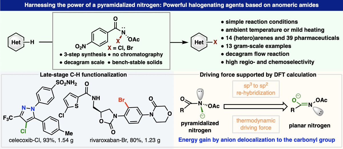 BaranLabReads's tweet photo. Anomeric Amides to the rescue! Halogenate even the most stubborn systems with a new class of reagents. Appearing today in @ChemRxiv - a fun collaboration with Abbvie, BMS and Pfizer. https://t.co/5UlWhB8dyK https://t.co/vR9uMsmFjv