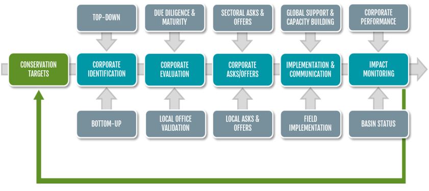Rylan Dobson 💧 tweet media