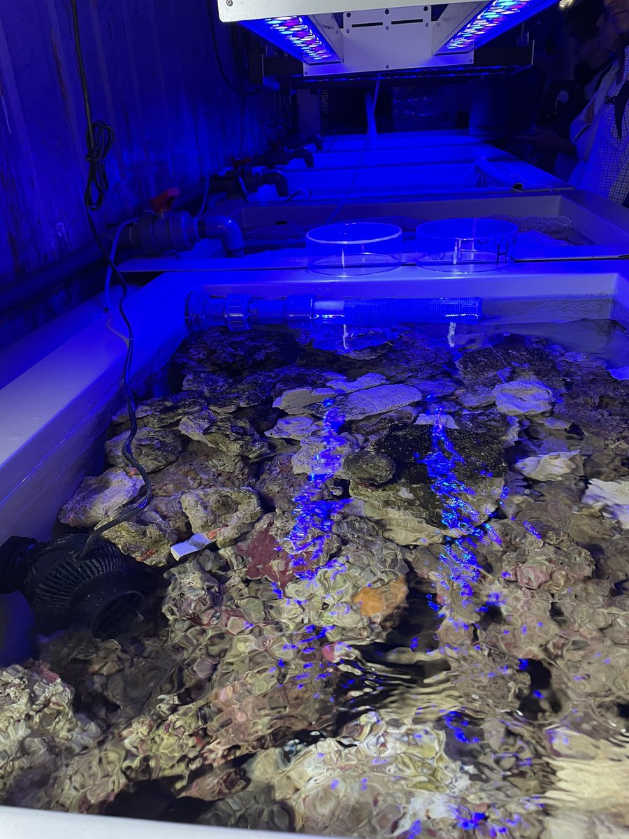 Mer et Pêche tweet media