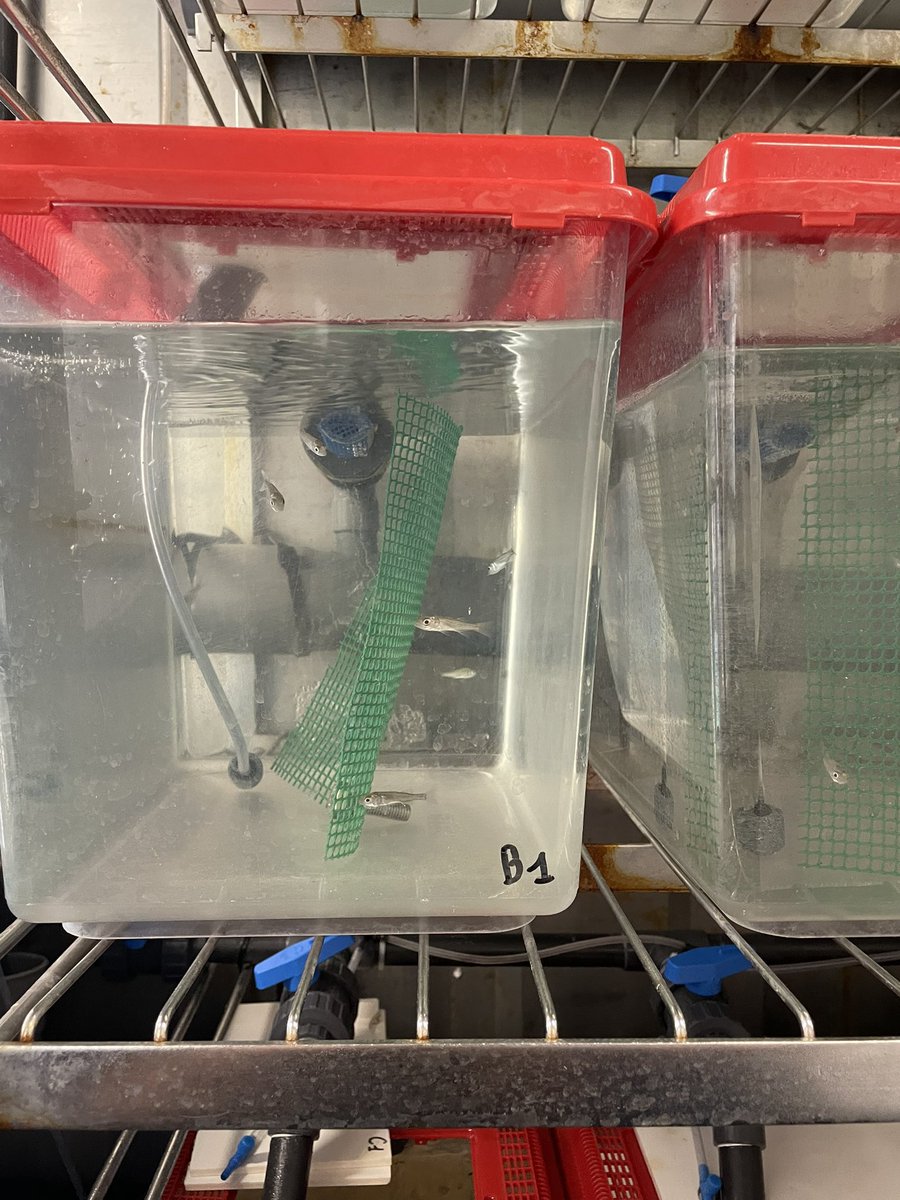 Mer et Pêche tweet media