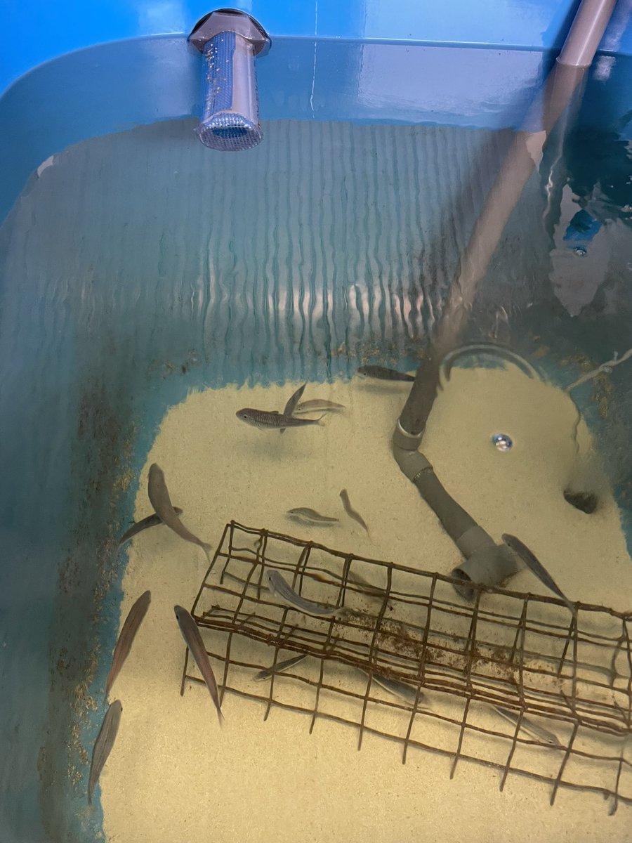 Mer et Pêche tweet media