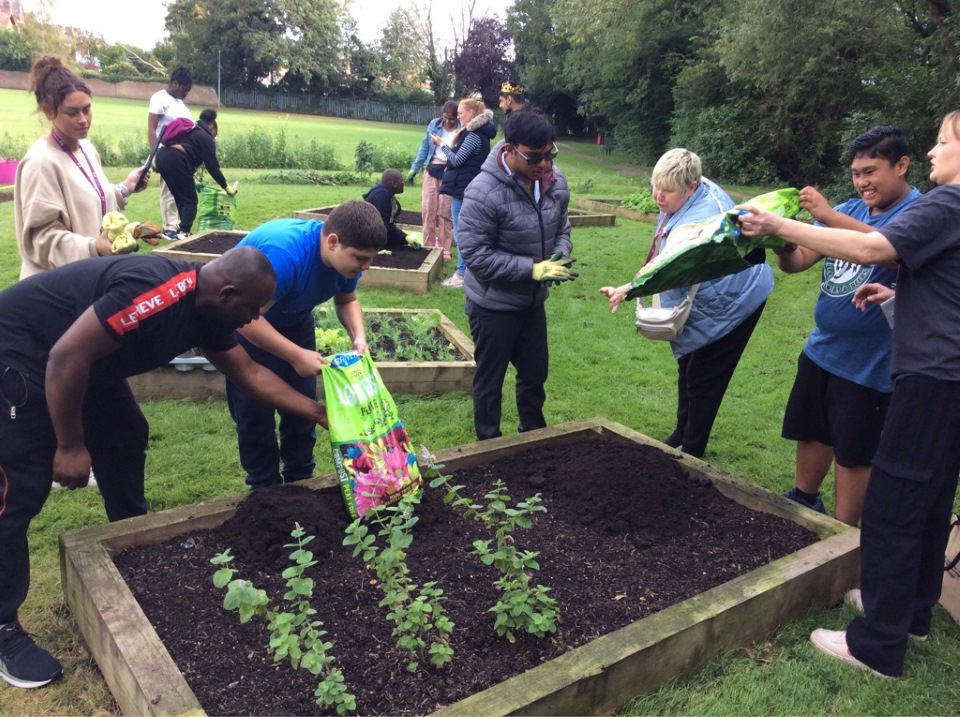 @meetmacintyre at the #LeightonBuzzard Community Garden every Thursday 10-12. Come along and help us grow food for the local #communityfridge 
#bedfordshire #linslade #buckinghamshire #communitylearning #communitygarden #makingadifference