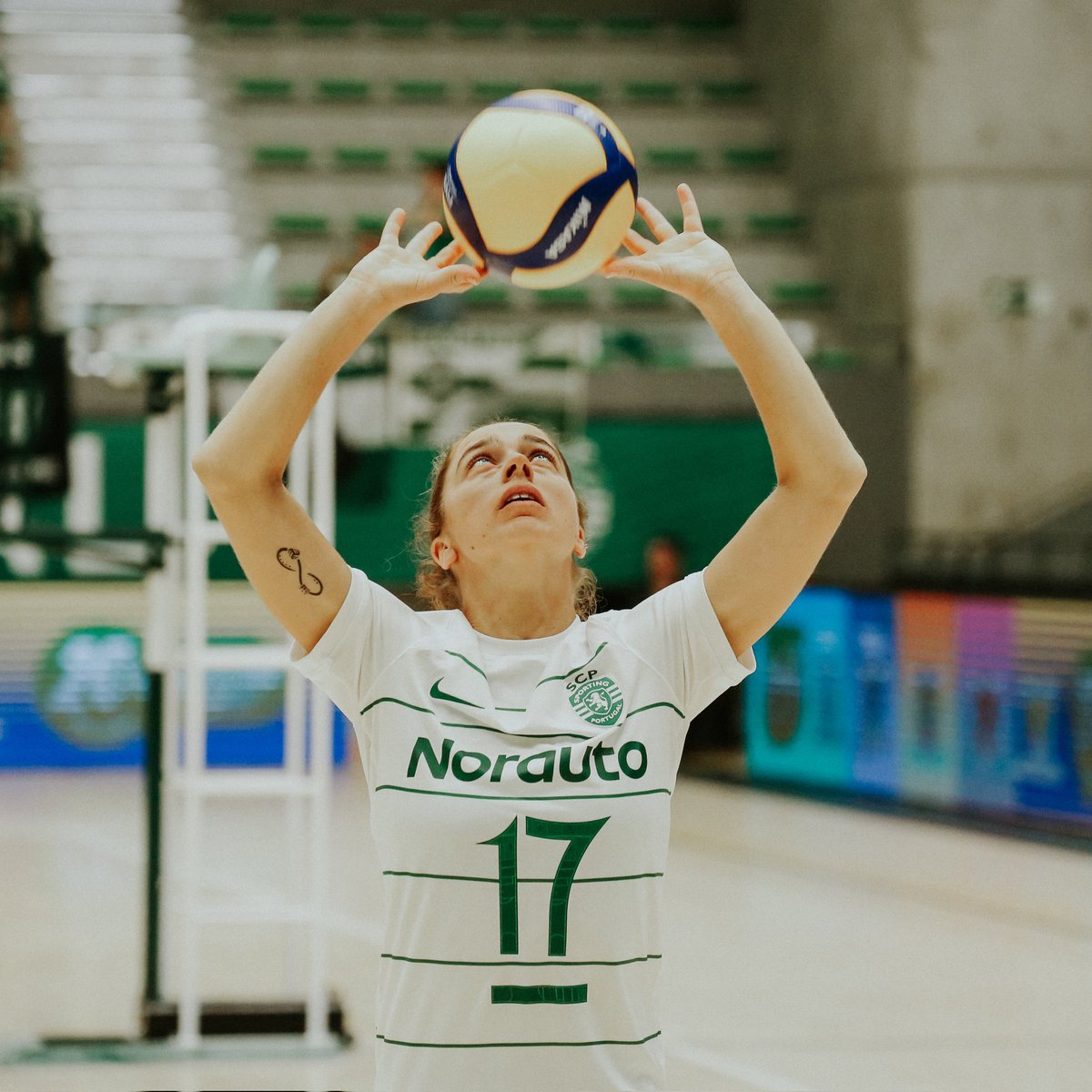 Que comece a época 🤩💚🦁