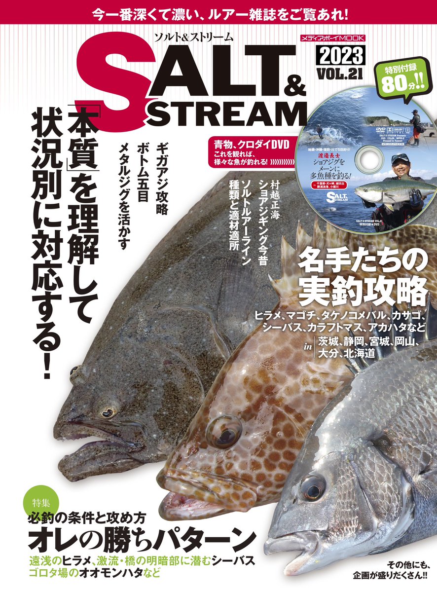 ★SALT & STREAM (ソルトアンドストリーム) 2013年 7月号 ソルト＆ストリームVOL.21」は9月26日（火）に発売‼️ 特集、名手の実