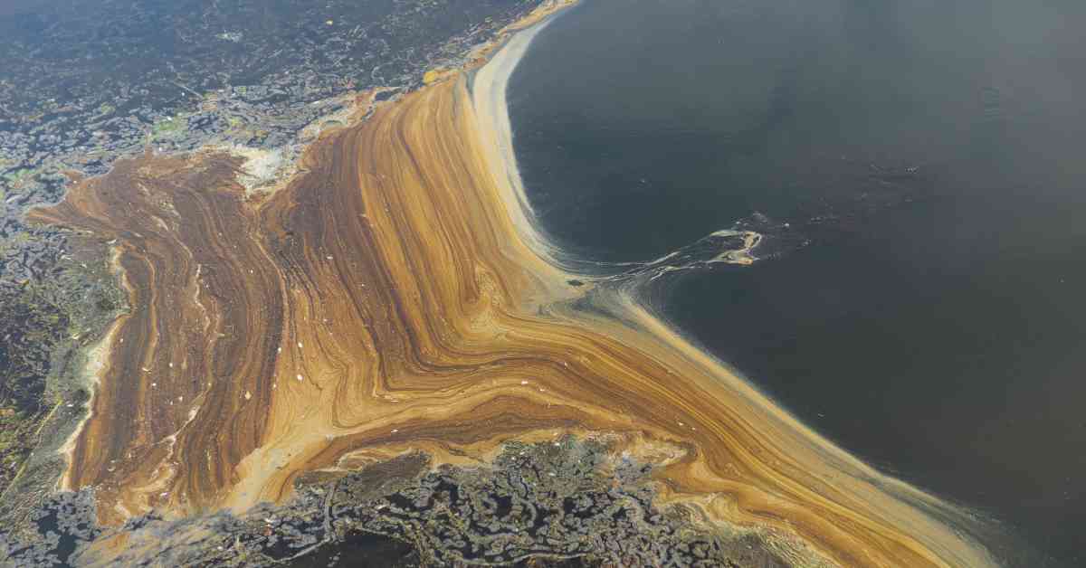 MarineInsight's tweet photo. Captain Of Vessel Alaskaborg Fined Over Oil Spill In The Atlantic
...Check Out this article 👉https://t.co/CywVyT8bO5
#OilSpill #Alaskaborg #Shipping #Maritime #MarineInsight #Merchantnavy #Merchantmarine #MerchantnavyShips https://t.co/JFTriiqteH
