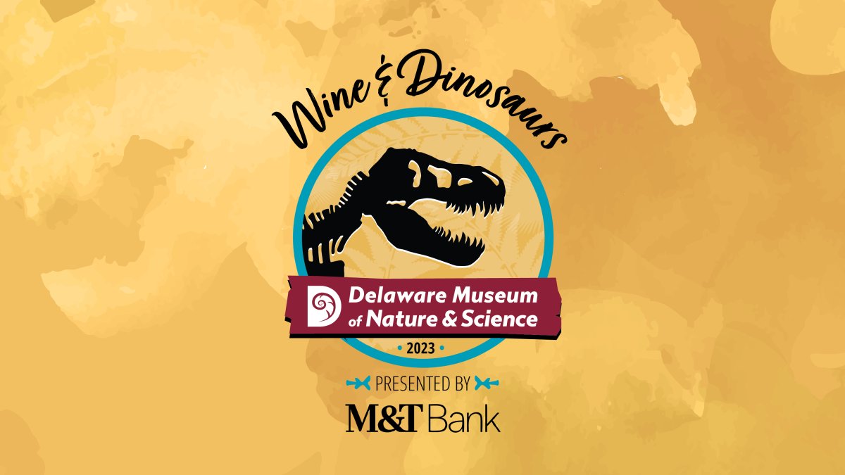 First Ascent (@firstascentde) on Twitter photo First Ascent Design is on the hunt for a T-Rex-sized party hat as a proud sponsor of <a href="/WineandDinos/">Wine & Dinosaurs</a> fundraiser at the <a href="/delmnh/">Delaware Museum of Nature & Science</a>. Mark your calendars for September 24th and join us! Register here:
cbo.io/tickets/delmns…
#FirstAscentDesign #WineAndDinosaurs #DE #DigitalMarketing First Ascent Design is on the hunt for a T-Rex-sized party hat as a proud sponsor of <a href="/WineandDinos/">Wine & Dinosaurs</a> fundraiser at the <a href="/delmnh/">Delaware Museum of Nature & Science</a>. Mark your calendars for September 24th and join us! Register here:
cbo.io/tickets/delmns…
#FirstAscentDesign #WineAndDinosaurs #DE #DigitalMarketing