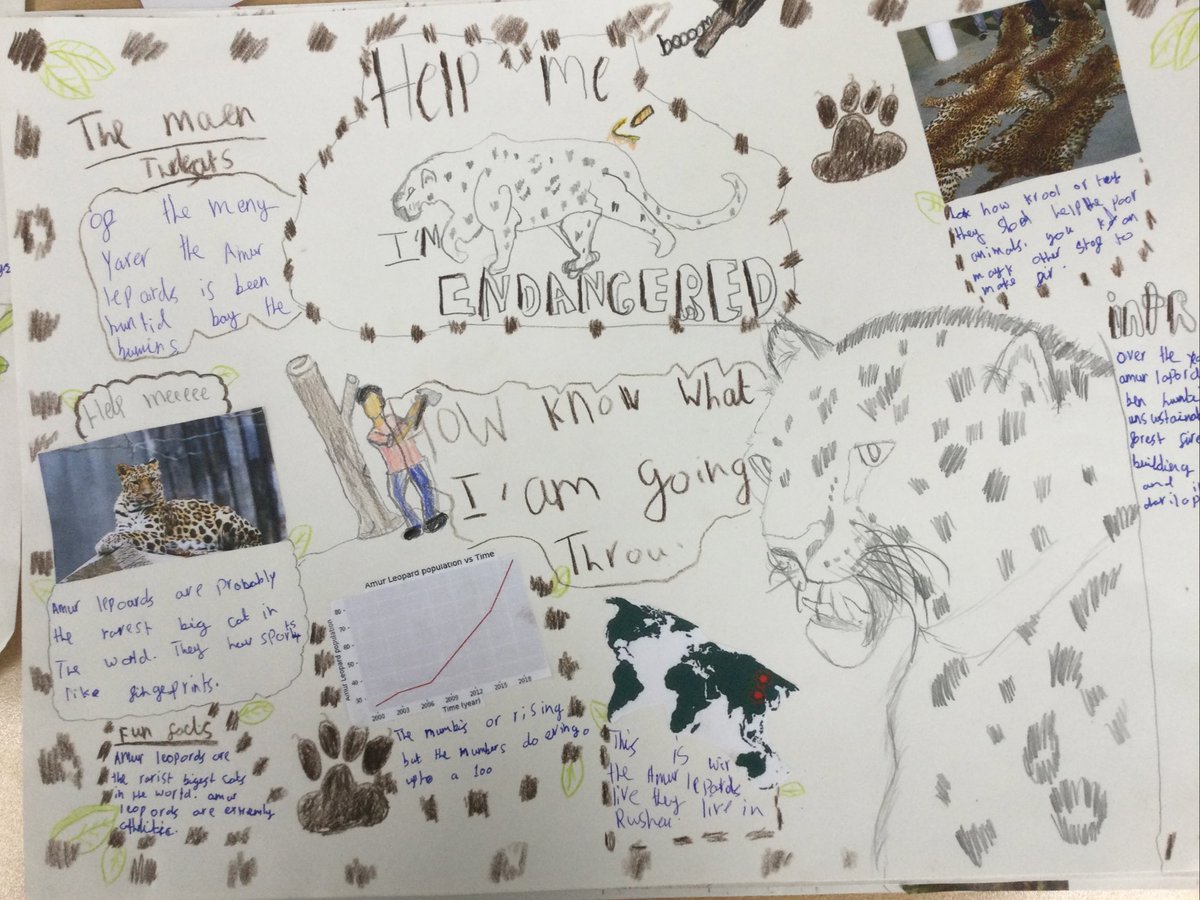SmithdownPrimY6's tweet photo. Learning about endangered animals in #smithdowngeog what threats each are facing and what needs to be done to help. https://t.co/cru8O61CE1