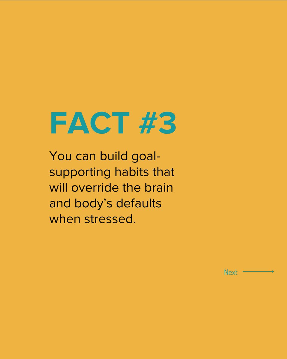 Build Holistic Nutrition tweet media