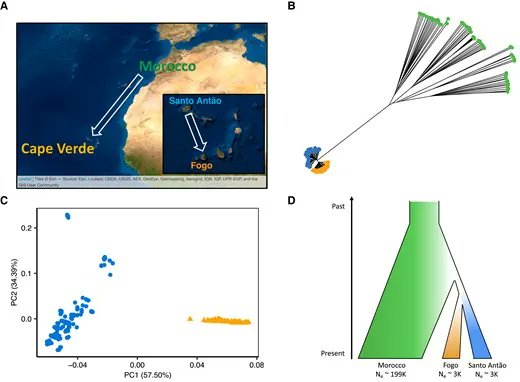 Molecular Biology and Evolution tweet media